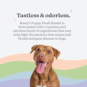   ROSEYS-PUPPY-FRESH-BREATH-Dog-Water-Additive-for-Dental-Care-Maintains-Fresh-Breath-Clean-Teeth-for-Dogs-Dog-Breath-Freshener-for-Promoting-Healthy-Gums-Fights-Plaque-Buildup-8-Oz