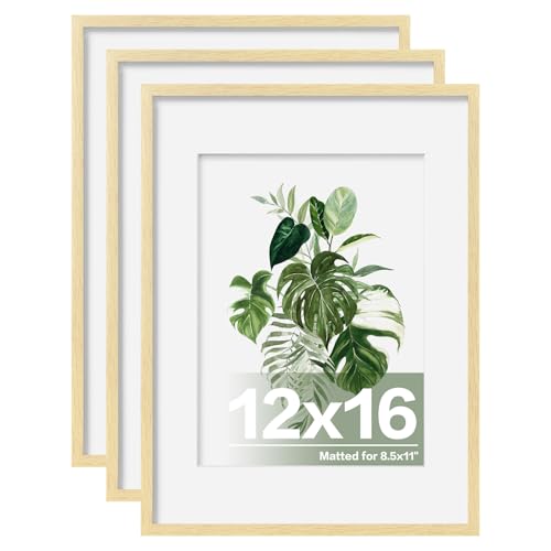 Egofine 12x16 Picture Frame Set of 3 12x16 Frame for 8.5x11 with Mat for Wall Hanging with Plexiglass Cover Natural