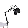 BM800 Studio Condensator Microfoon, Microfoon met Arm Stand Pop Filter Foam Cap