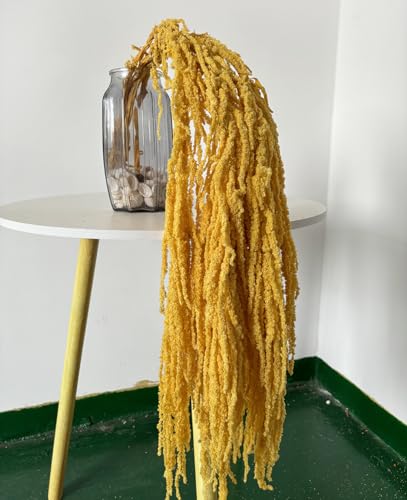 �A�}�����T�X�t�����[�h���C�v���U�[�u�h�u���[�`���n���M���O��t�����[5�_�B�E�F�f�B���O�u�[�P�A�z�[���E�H�[���f�R���[�V�����p(�C�G���[)�B