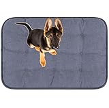 MyBestBuddy Hundekissen Pik grau 120x80 cm XXL, allergikerfreundlich (100% Polyester) - 40°C waschbar mit flauschigem Stoffbezug - Hundematte BZW. Hundebett für sehr große Hunde, 120 x 80 cm