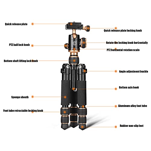 Linckry Kamerastativ für Smartphone Digitalkamera Protable Fotostativ Ministativ für Reisen Leichter Kameraständer – Bild 4