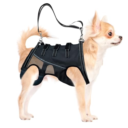 Kit básico para pasear a tu perro: preparación ideal para cada salida 4 Gsrhzd Arnés de Elevación para Perros, Cómodo Respirable Arnés de...