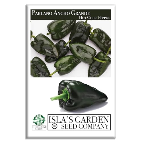 Poblano Ancho Grande Pepper Seeds (Capsicum annuum) 50+ Heirloom Non-GMO Seeds by Islas Garden Seeds Mild & Smoky Flavor Perfect for Roasting Stuffing & Drying High-Yield Garden Favorite