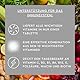 SUNLIFE Multivitamin Brausetabletten - 1x20 Stück - Multivitamin Tabletten mit Orangen Geschmack - Brausetabletten mit 10 Vitaminen - Nahrungsergänzungsmittel Multivitamine - Vitamine Tagesbedarf