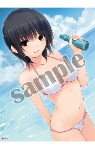Amazon.co.jp: 珈琲貴族 B2タペストリー 軸中心派 青山inサマー 水着 