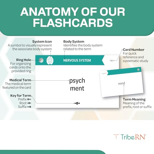 500 Medical Terminology Flashcards