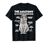 British Shorthair regalo mamma gatta per il