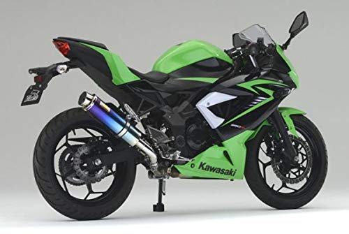 Amazon | Realize (リアライズ) カワサキ ニンジャ250SL (JBK-BX250A 