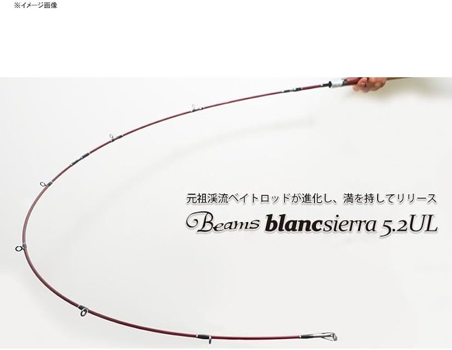 Amazon.co.jp: Fishman Beams Blancsierra5.2UL : Sports & Outdoors