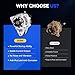 11188N Car Alternator 120 Amp Replacement for 2005 2006 Kia Magentis V6 2.7L, Sportage, Optima, for Hyundai Tucson, Tiburon, Sonata, Santa Fe, AVA0066 2655524 3730037800