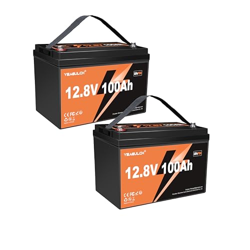 Yeagulch Batterie Lithium 2 x 12V 100Ah LiFePO4 – BMS 100A Intégré, 6000 Cycles, 1280Wh 12V Batterie LiFePO4 Rechargeable adaptée au Camping-Car, Stockage Solaire, Hors Réseau