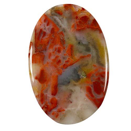 Jaspe rouge naturel ovale 25,4 carats la splendeur d'une pierre précieuse