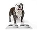 Ono Great Bowl Food & Water Double Feeder - Medium to Large Pets No Spill Non Skid Silicone Mat & Stainless Steel Bowls for Dogs or Cats (Cool Gray)