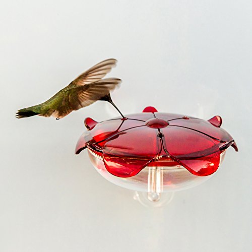 Droll Yankees Rs-3Wc Fba_Rs-3Wc Hummingbird Feeder, Window Mounted Outdoor Fe, 5 Oz, Ruby/Clear #TOP1