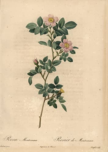 Impressions Artistiques de Tableaux Paysage Rose pour Décoration de Bureau Élégante