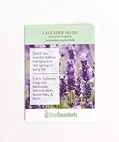 Algopix Similar Product 7 - Shop Succulents Lavender Seeds Pack of