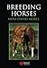 Breeding Horses