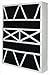Rheem DPFU21X24.5X5OB Carbon Replacement Filter44; Pack of 2
