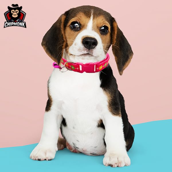 CHIPMONK Set of 3 Cat & Puppy Collar with Bell,Kitten & Small Dogs Soft Adjustable,Solid & Protective Breakaway for Cats & Puppies,Cute Kitty Neckband with Sun Flower Print-(Red,Yellow,Pink),12x1 cm 2