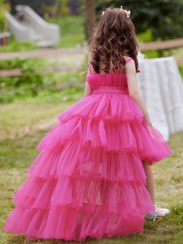 Crewneck Tiered Flower Girl Dress for Wedding Puffy Tulle A Line Formal Pageant Ball Gown2