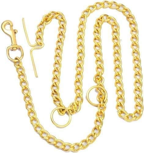 Pet Guard Super Heavy Weight Brass Leash Diamond Cut Heavy Duty Dog Gold Chain for Dog & Cat - Large99 (B09V34JCBY) Amazon Price History, Amazon Price Tracker