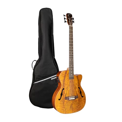 Wishmade 5-String Hollow Body Acoustic Electric Bass