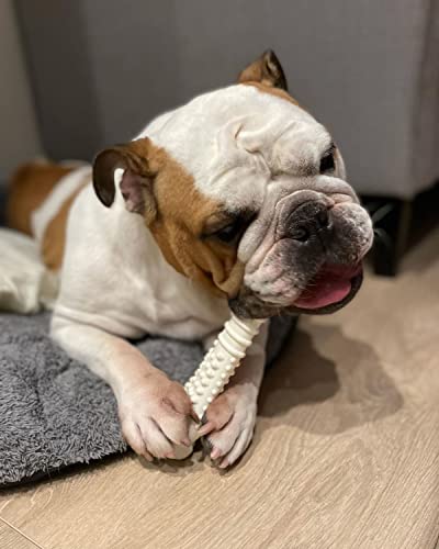 Image of Nylabone Power Chew Textured Knuckle Bone Dog Toy, Chicken Flavor, X-Large | Durable chew toys, long lasting, discourages destructive chewing, teeth-cleaning texture, flavor throughout, for dogs 50+ lbs