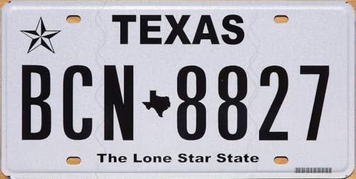 Authentic License Plates - All 50 States + Territories License Plate Tags in Good Condition, Great for Decoration, Art Projects, Garages, Unique Gifts, Man Caves. (Texas)