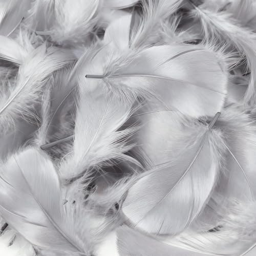 Mbsomnus 600 Stück Federn zum Basteln Grau Federn Natürliche Feder Deko Bastelfedern für DIY Handwerk Traumfänger Ohrringen Federblumen...