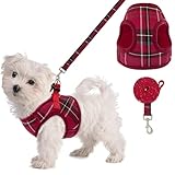 PUPTECK Soft Mesh Small Dog Harness with Leash - Basic Plaid Padded Step-in Chest Vest for Kitties,...