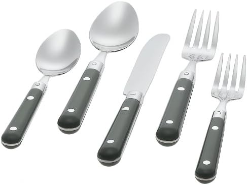 Ginkgo International Le Prix 20-Piece Stainless Steel Flatware Place Setting, Moss Green, Service for 4