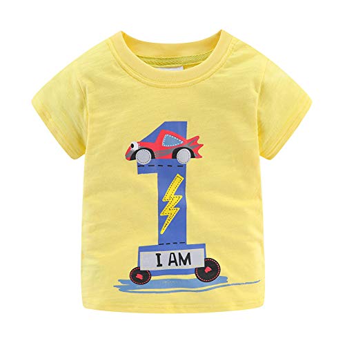 Image of Mud Kingdom Little Girls Birthday Shirt Long Sleeve Cute Cartoon