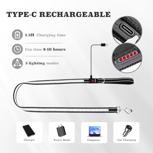 PZRLit Mehrfarbige 1.2 m LED Hundeleine–Leuchtend & Reflektierend,7 Modi Glühen im Dunkeln, Beidseitig USB-C Wiederaufladbar mit Akkuanzeige Wasserdicht Für Kleine Mittel Große Hunde, Nachtsicherheit