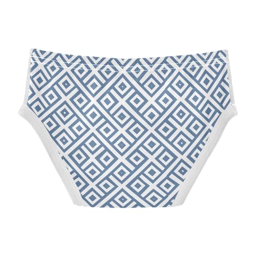 visesunny Boys Cotton Underwear Blue Square Diamond Printed Toddler Soft Training Briefs Size 2T-8Y for Kid2