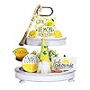 10 pieces lemon tiered tray decor set including gnomes plush dolls lemon farmhouse wood signs faux beaded garland themed home kitchen decorations spring summer decor  urban country home decor