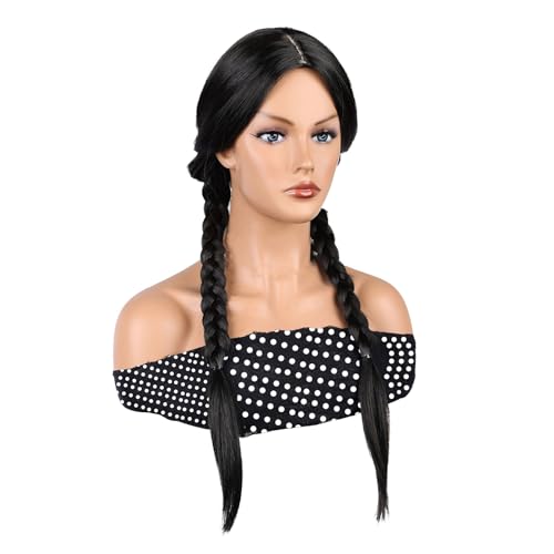 Dylanm Black Wig Middle Part, Long Straight Wig with Two Braided Braids, 26 inch Synthetic Hair Replacement Wig for Party