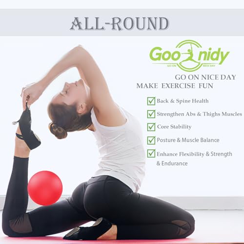 Image of PL-0003 Soft Exercise Ball, Anti-Burst Yoga Ball Chair Supports 2200lbs PL-0003