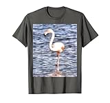 ¿Tienes cosquillas de color rosa con serenidad y vida contenta? Los flamencos representan un sentido de comunidad y confianza. Equilibra tu ¿Te gustan las aves tropicales y los pájaros que van más allá de la adherencia icónica? Comparte una elegancia tropical amigable con el flamenco.