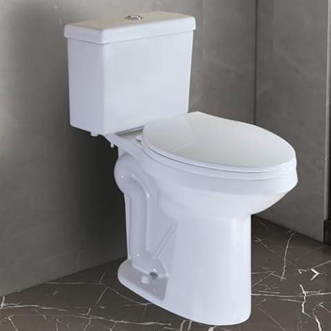 WinZo WZ5088DS 10" Rough-in Toilet Two Piece 20-inch Extra Tall Dual Flush Elongated for Seniors Elderly Tall Disabled Person,White Cover