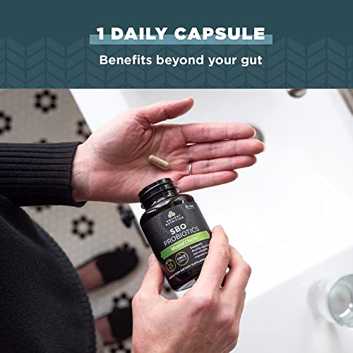 Probiotics for Mental Clarity by Ancient Nutrition, Once Daily Probiotics 30Ct, Helps Promote Mental Clarity and Concentration, Supports Healthy Energy and More Restful Sleep, 25 Billion CFUs* - Image 5
