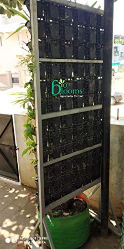 Image of Bio Blooms Agro India Private Limited Bio Blooms Agro India Plastic Vertical Hanging Pots | Wall Garden Hanging Set Of 4 Panel & 12 Planter Pots | Black