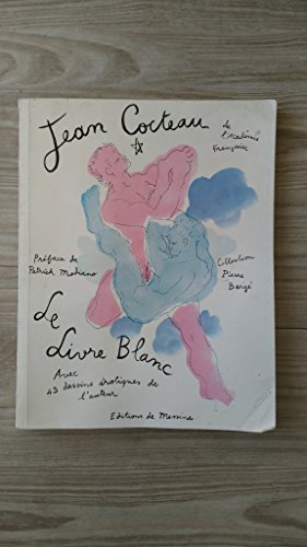 Télécharger Le Livre blanc (Collection Pierre Bergé) Livre eBook France