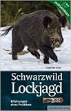  Schwarzwild Lockjagd: Erfahrungen eines Praktikers ( Juni 2010 )