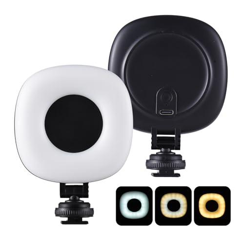 Andoer Paquete de 2 luces LED de bolsillo para cámara de video, luz de relleno LED, 3 modos de iluminación, 3 niveles de brillo, batería integrada con adaptador de zapata fría