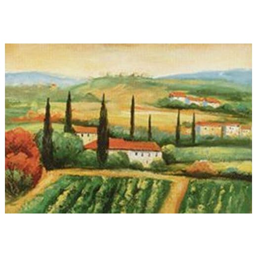 Hillside Harvest I by Antonio 16 X 20 Poster, TUSCANY, ITALIAN, ITALY, HILLS, COUNTRY, LANDSCAPE, GARDENS