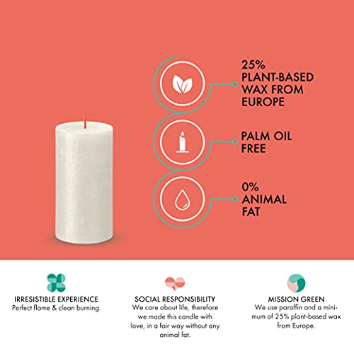 Bolsius 4 Pack Ivory Shimmer Metallic Pillar Candles - 2.75 X 5 Inches - Premium European Quality - Natural Eco-Friendly Plant-Based Wax - Unscented Dripless Smokeless 60 Hour Party & Wedding Candles #TOP3