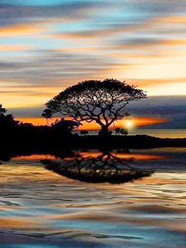 Peinture au diamant 5D coucher de soleil 30x40cm pour décoration murale