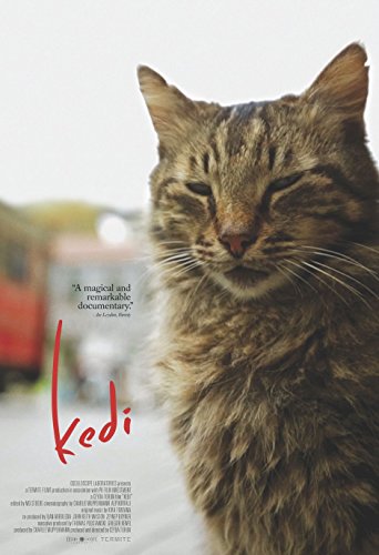 Preisvergleich Produktbild Poster Kedi Movie 70 X 45 cm