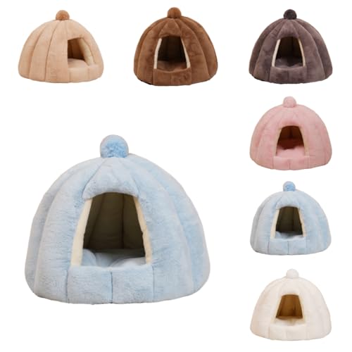 ZekonoLnEX ~p Lpxbh L h[^ xbh  p ybgpQ ۉh  _炩  ~ ^ Lbg lC p xe QNbVt (u[,傫TCY 56CM×48CMia×j)